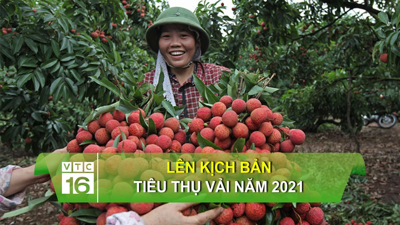 Vì sao thang máy có gương, nhà sản xuất nêu 3 lý do khiến nhiều người bất ngờ