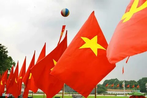 Đội tuyển Việt Nam có thể đá giao hữu với Brazil?