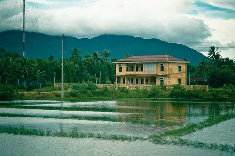 Vị giáo sư nào có 6 người con là GS, PGS và 3 con rể làm tướng lĩnh quân đội?