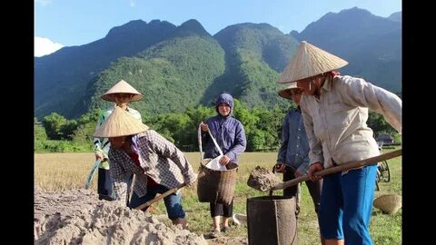 7 món đồ không nên đặt quá gần bếp nấu